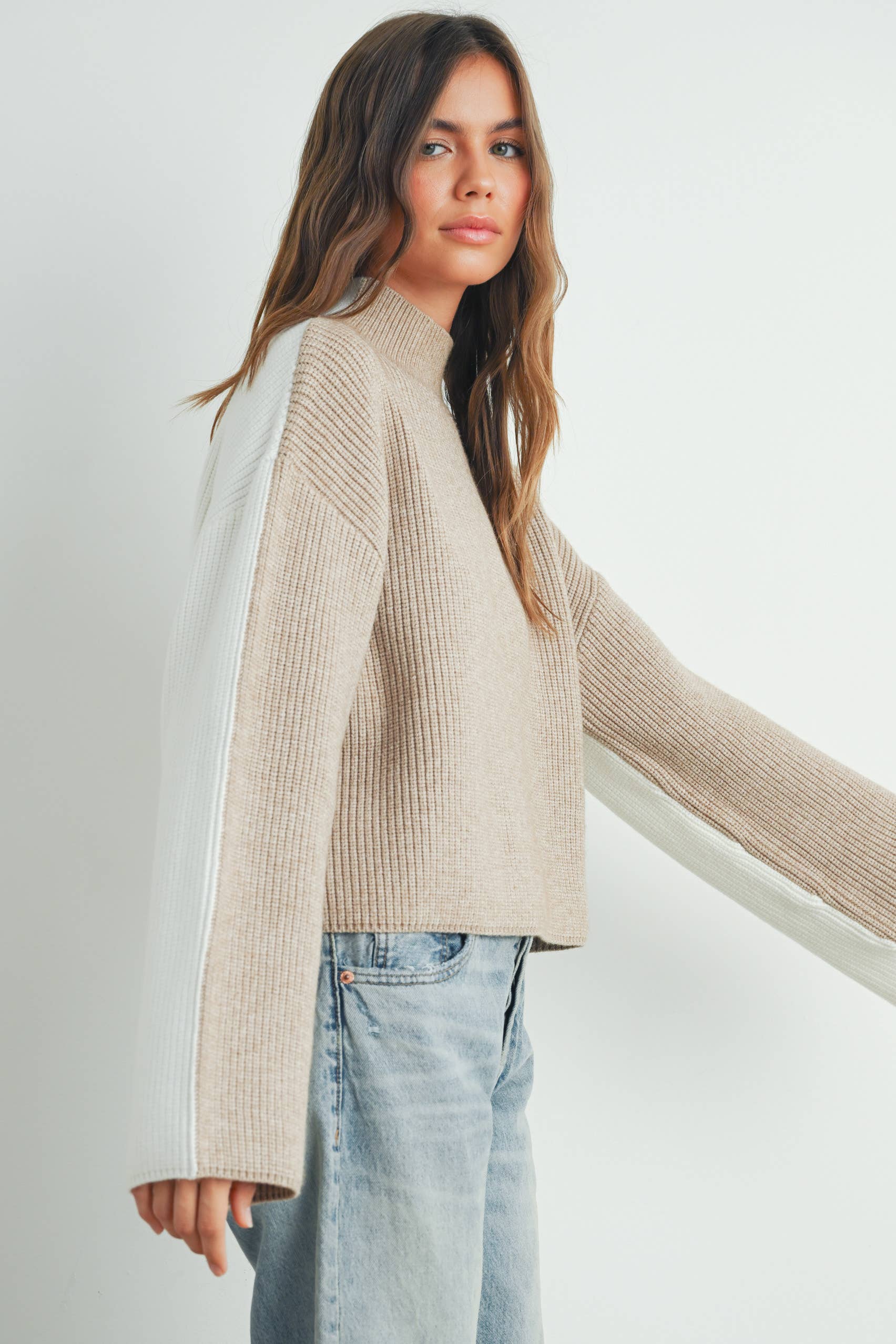 Two-Toned Turtleneck Sweater
