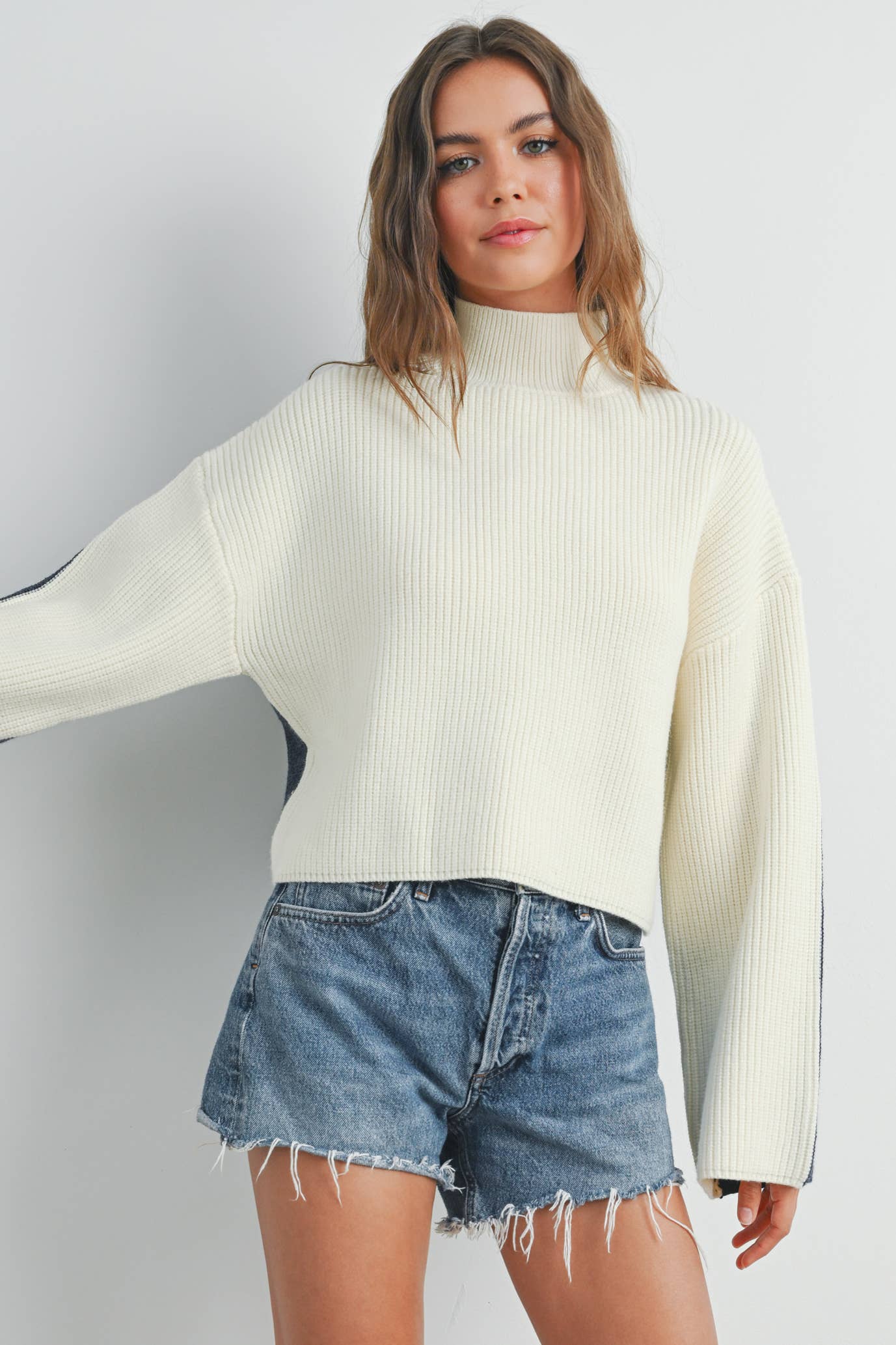 Two-Toned Turtleneck Sweater