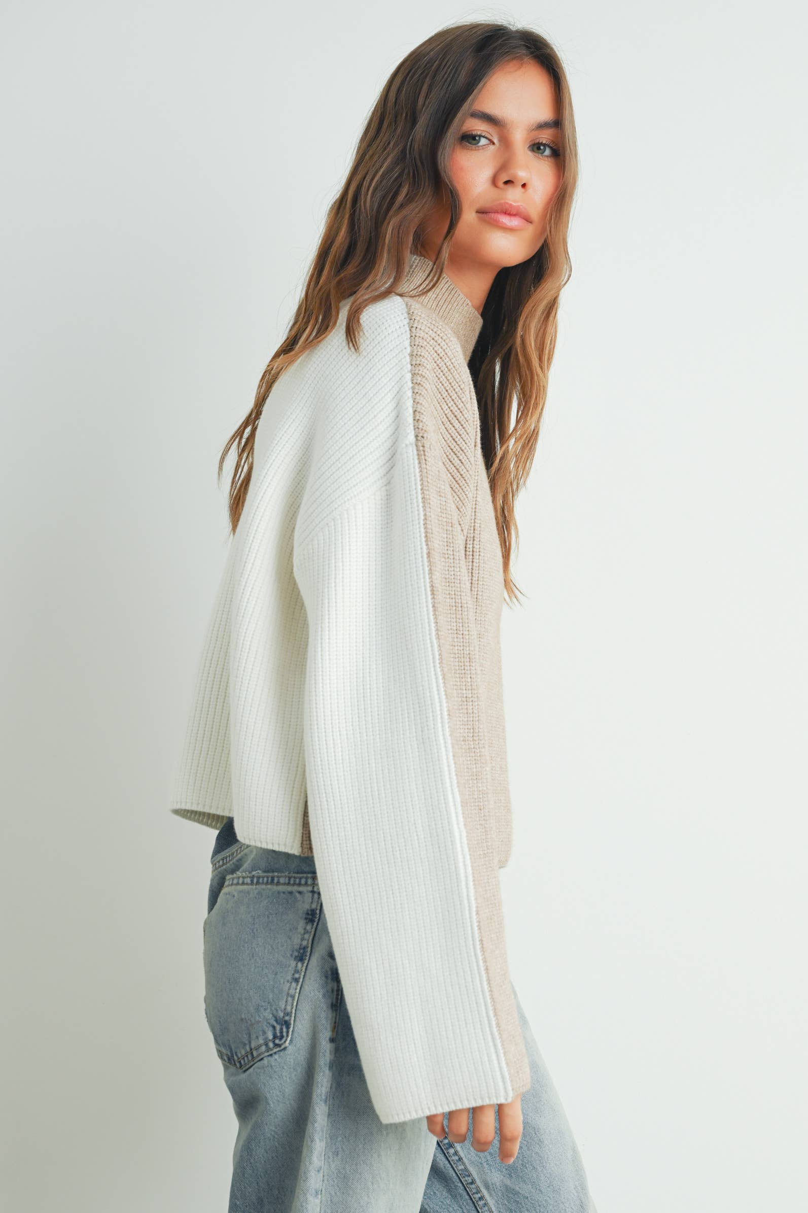 Two-Toned Turtleneck Sweater
