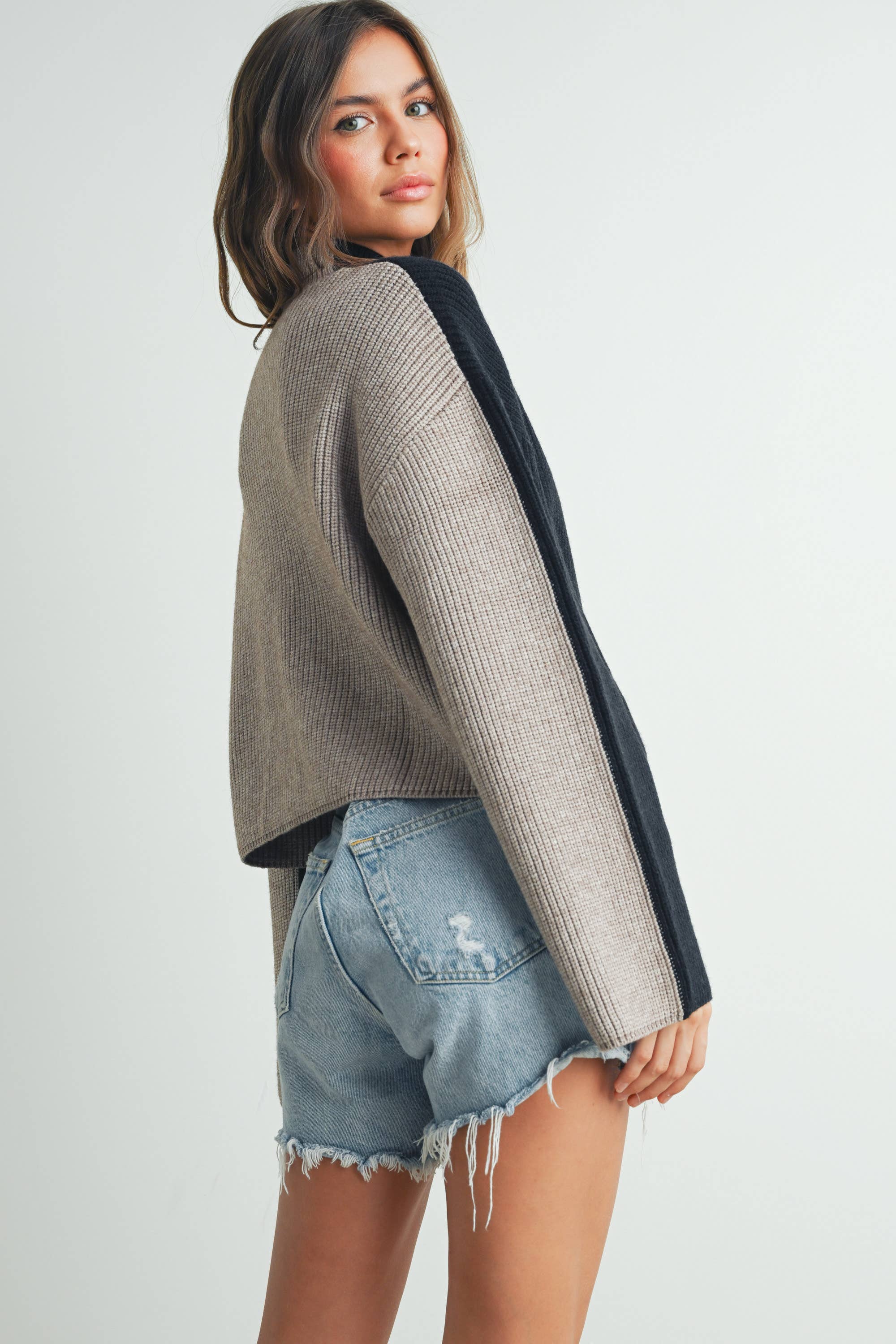 Two-Toned Turtleneck Sweater