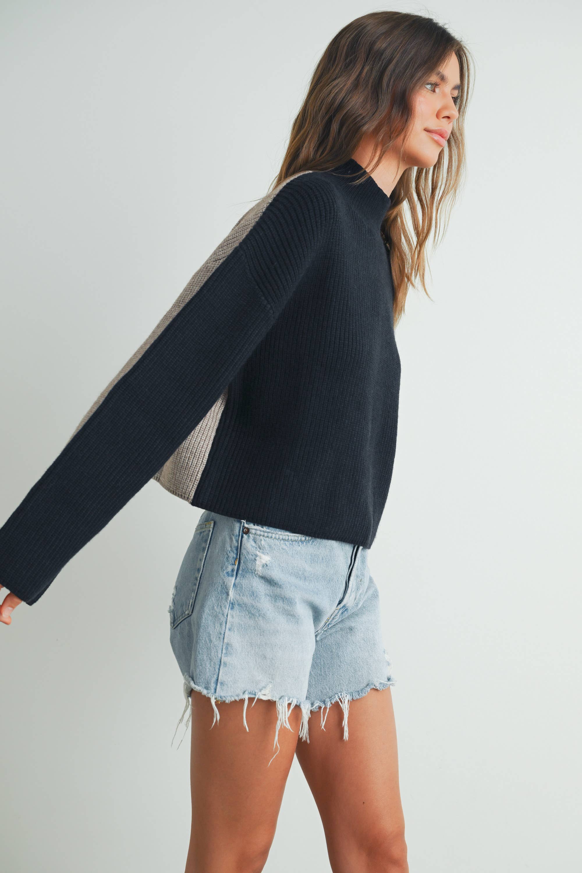 Two-Toned Turtleneck Sweater