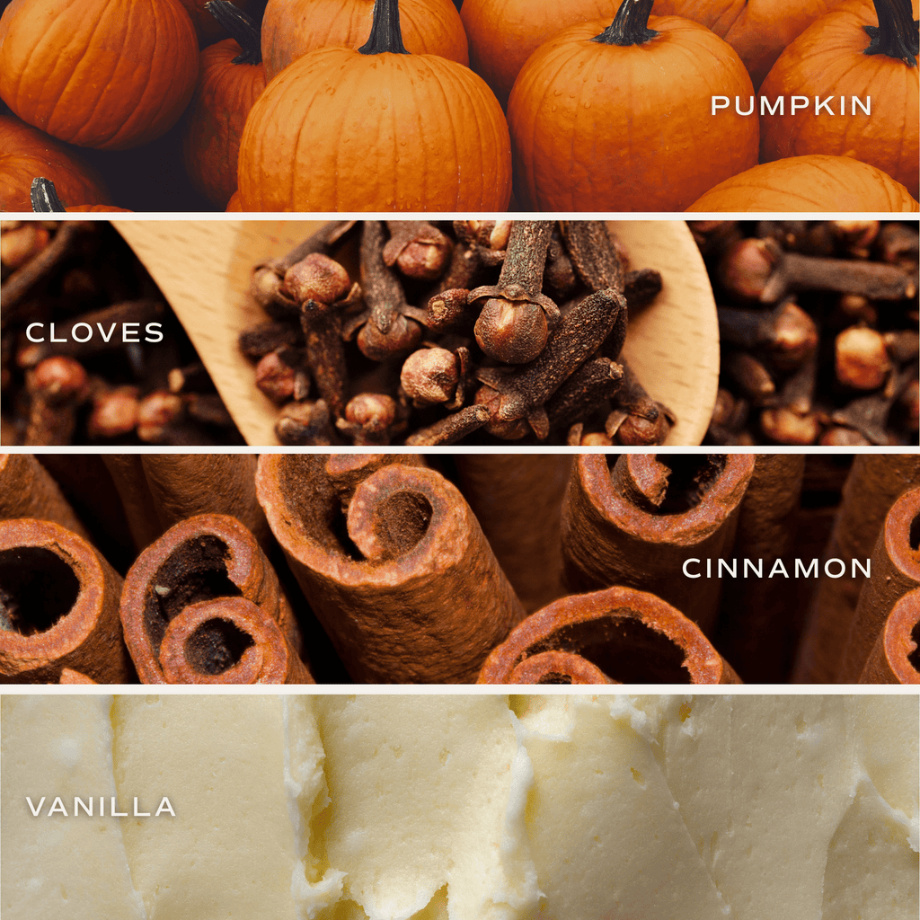 Pumpkin Spice | 12 oz Boxed Soy Candle