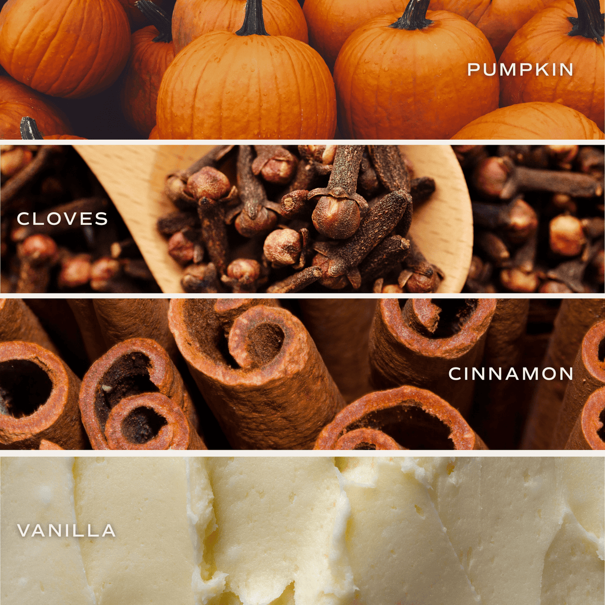 Pumpkin Spice | 12 oz Boxed Soy Candle