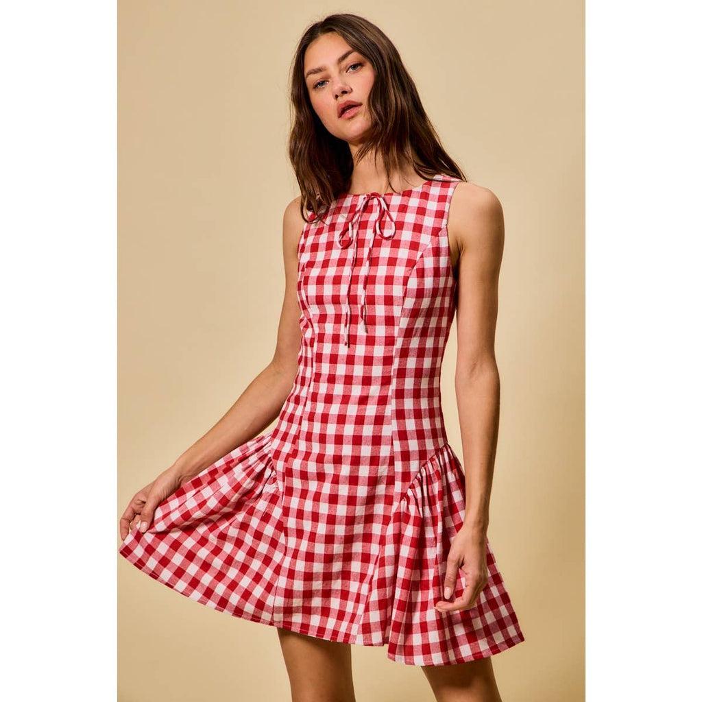 Hayes | Gingham Fit and Flare Tank Mini Dress