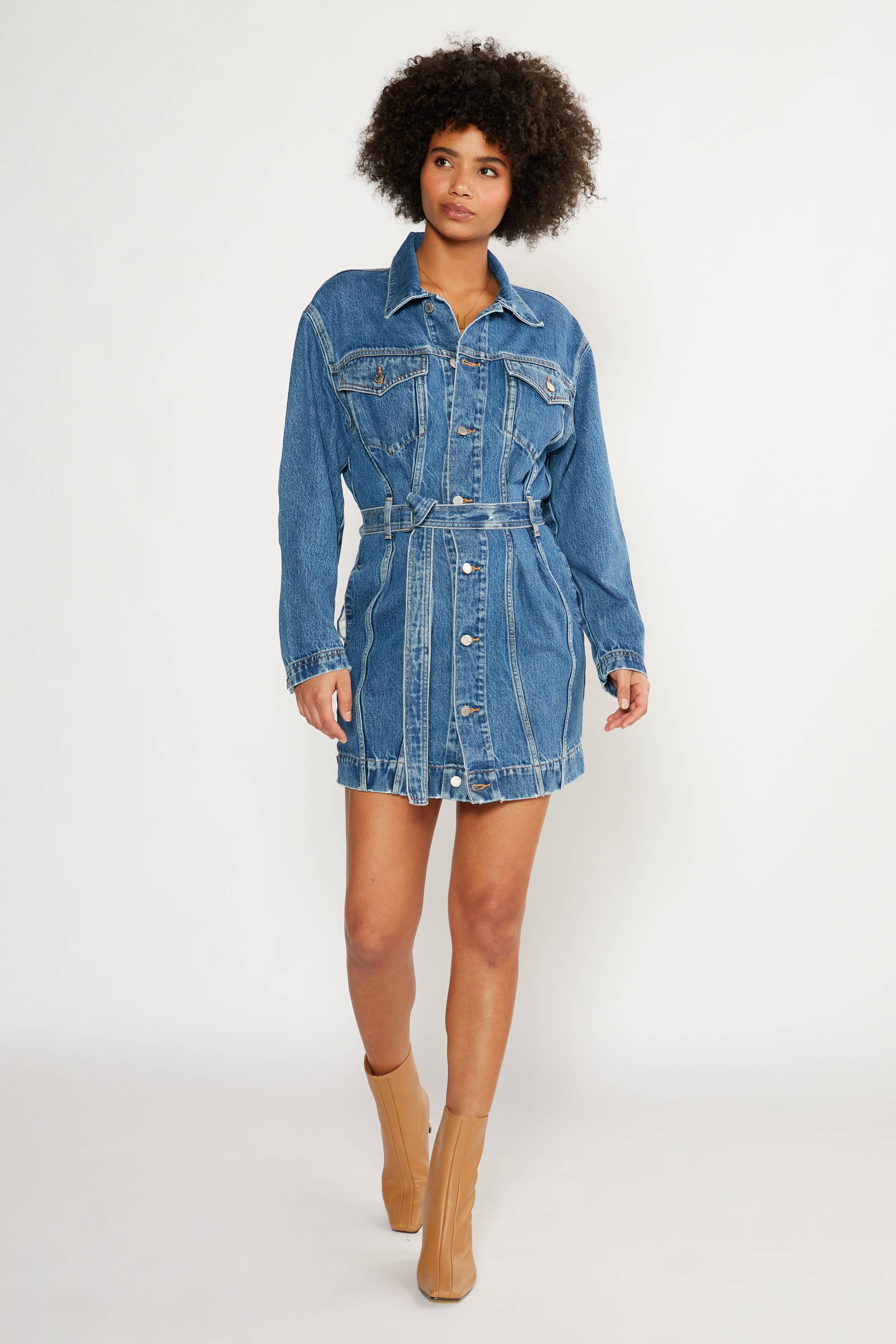 Joelle Denim Dress