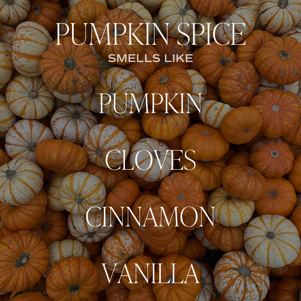 Pumpkin Spice | 15 oz Soy Candle
