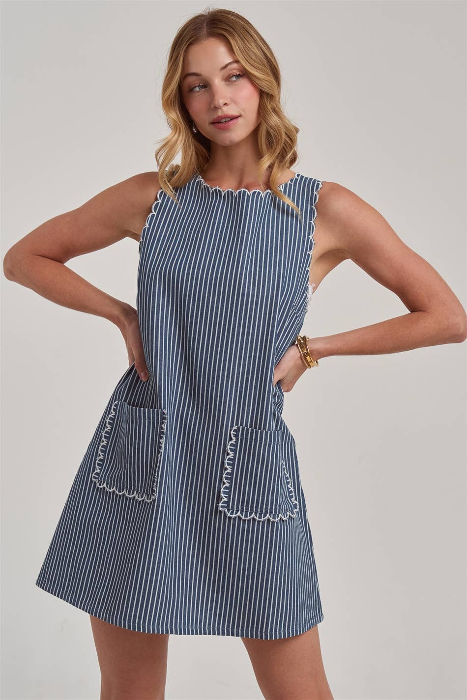 Scallop | Embroidered Sleeveless Stripe Denim Mini Dress