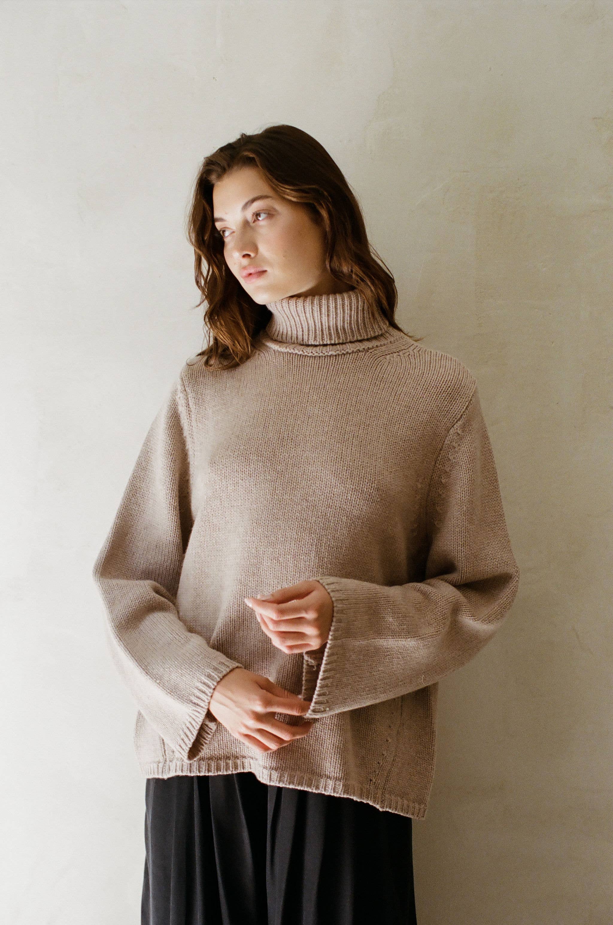 Britany Cashmere Wool Ribbed Turtleneck