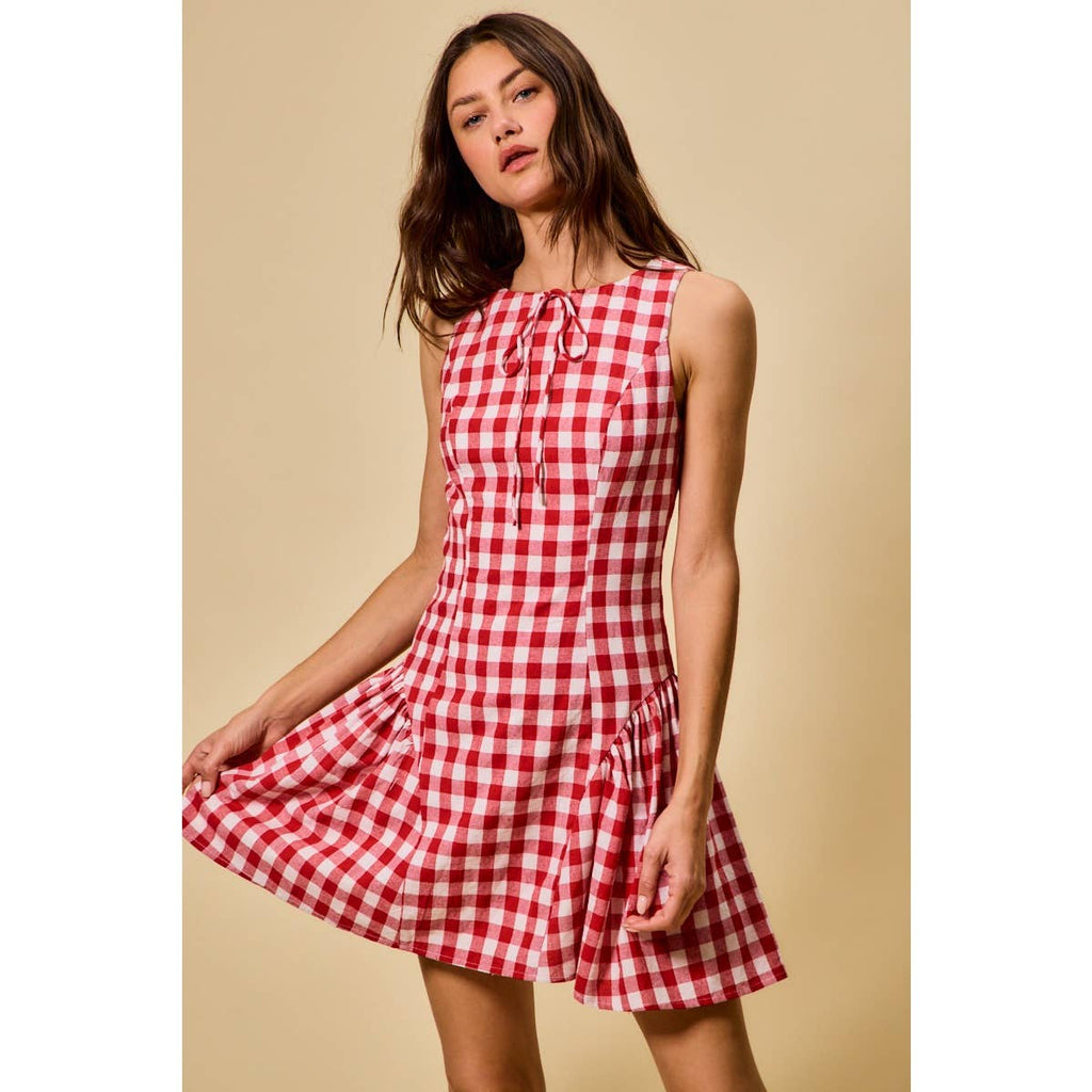 Hayes | Gingham Fit and Flare Tank Mini Dress