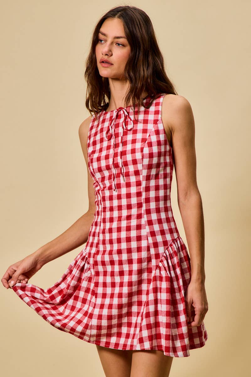 Hayes | Gingham Fit and Flare Tank Mini Dress
