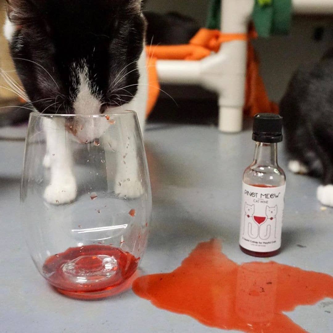 Apollo Peak Pinot Meow Cat Wine Liquid Catnip For Cats
