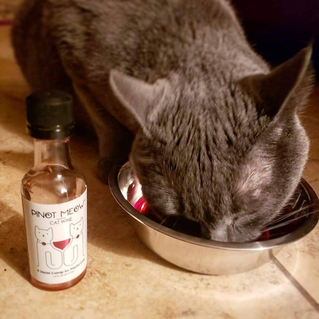 Apollo Peak Pinot Meow Cat Wine Liquid Catnip For Cats