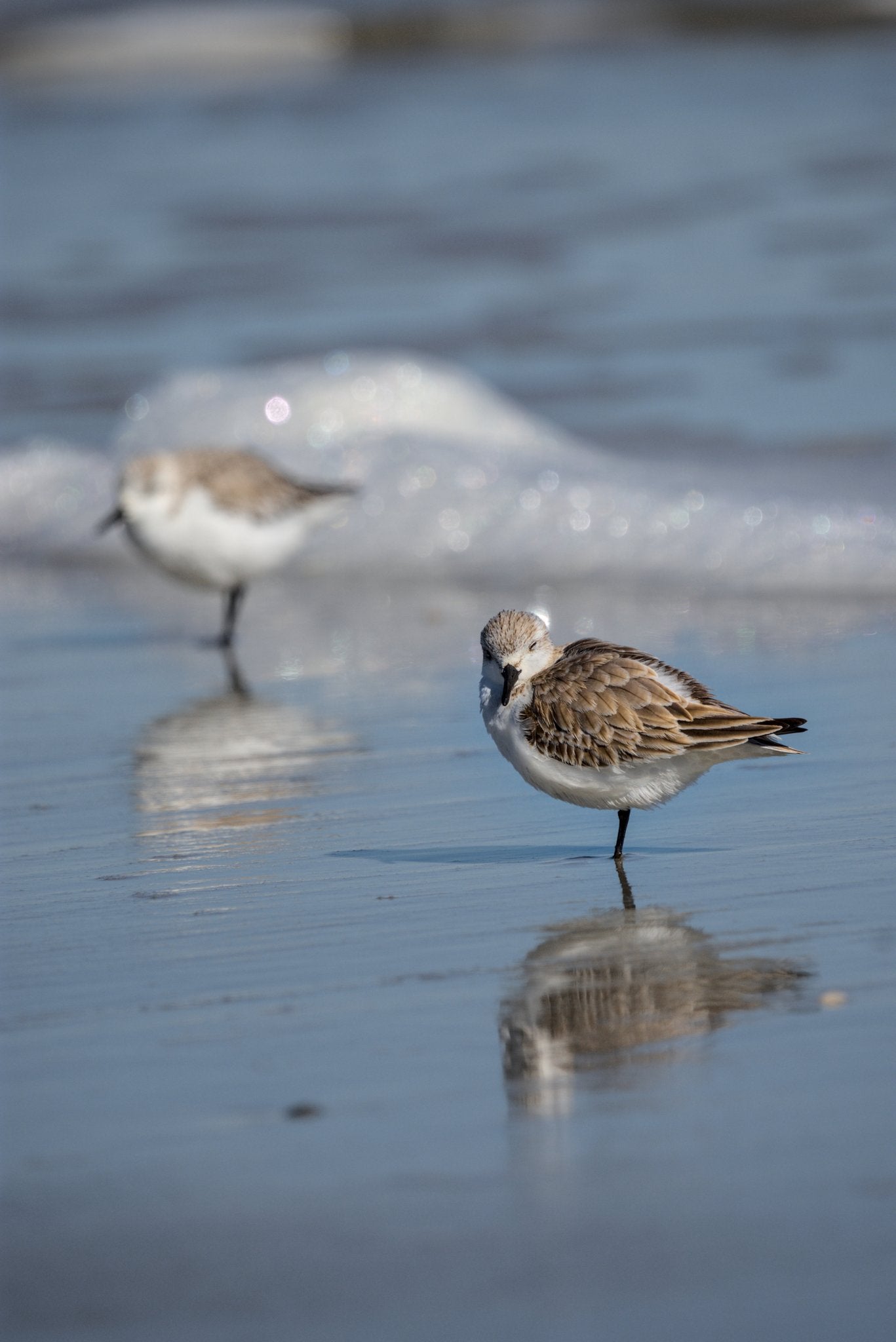 Beaming | Framed Print