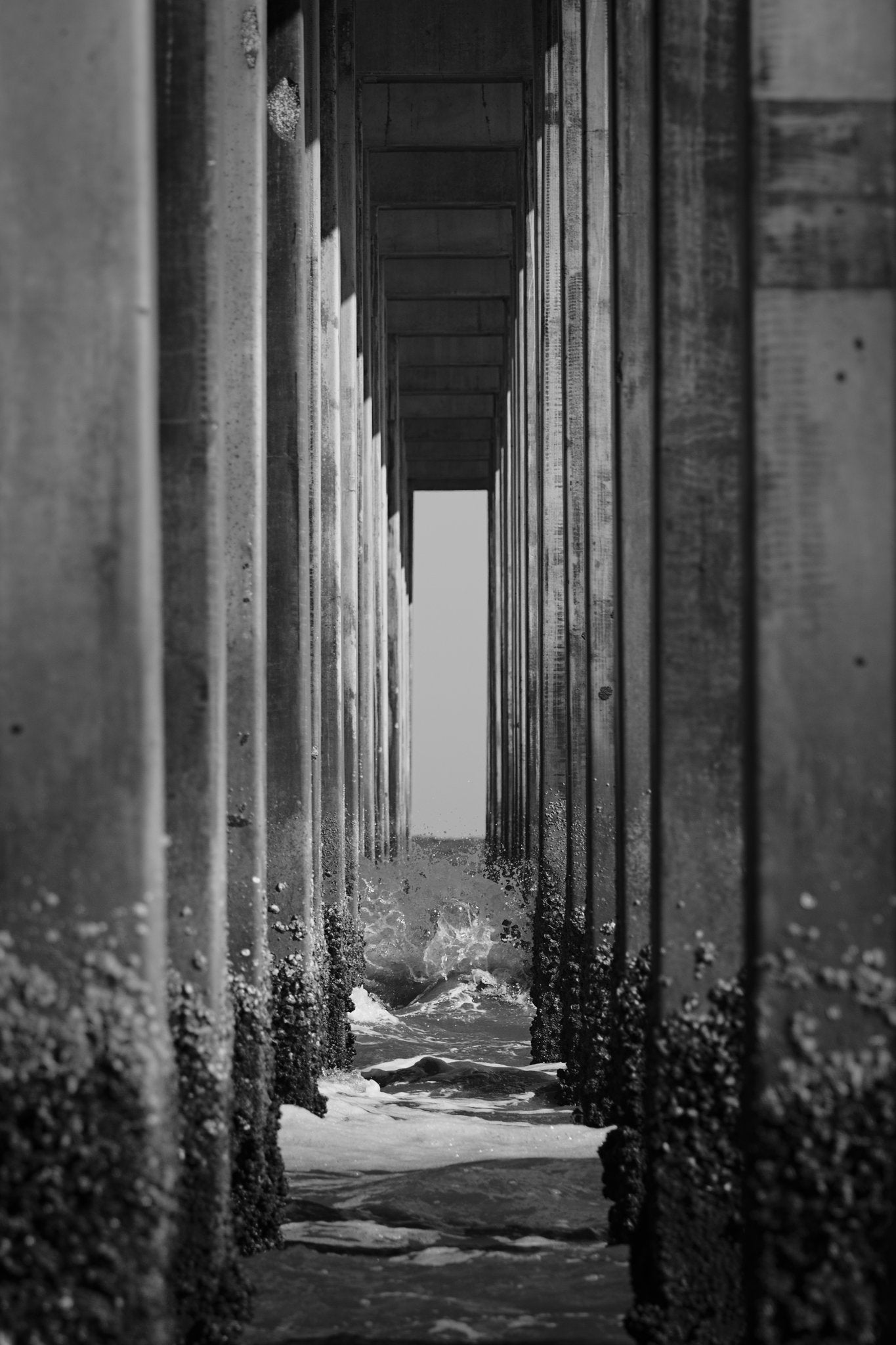 Isolation | Framed Print