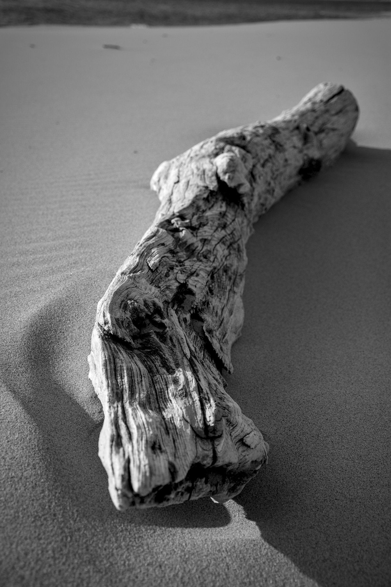 Reaching | Framed Print