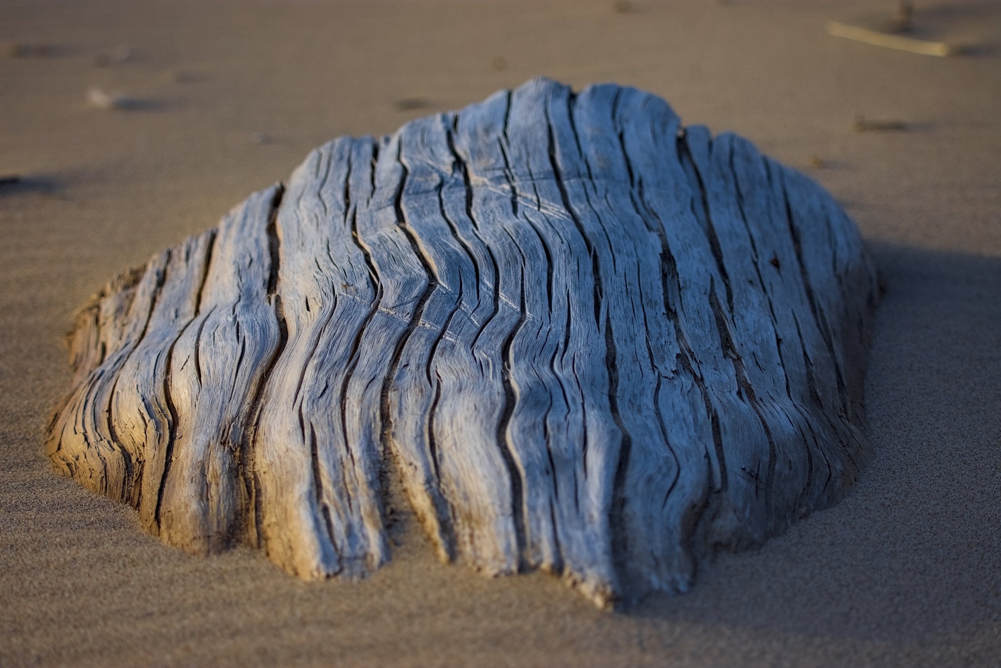 Stalwart | Framed Print