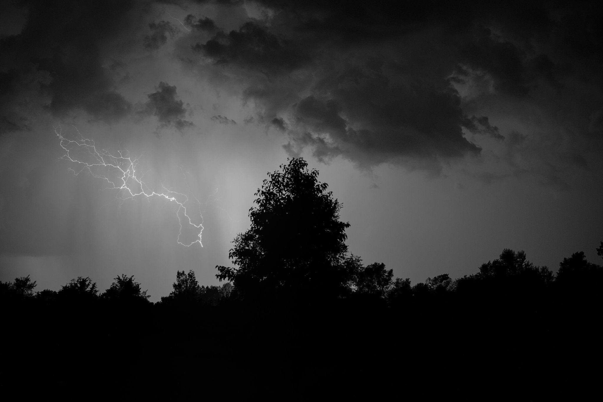 Majesty | Framed Print