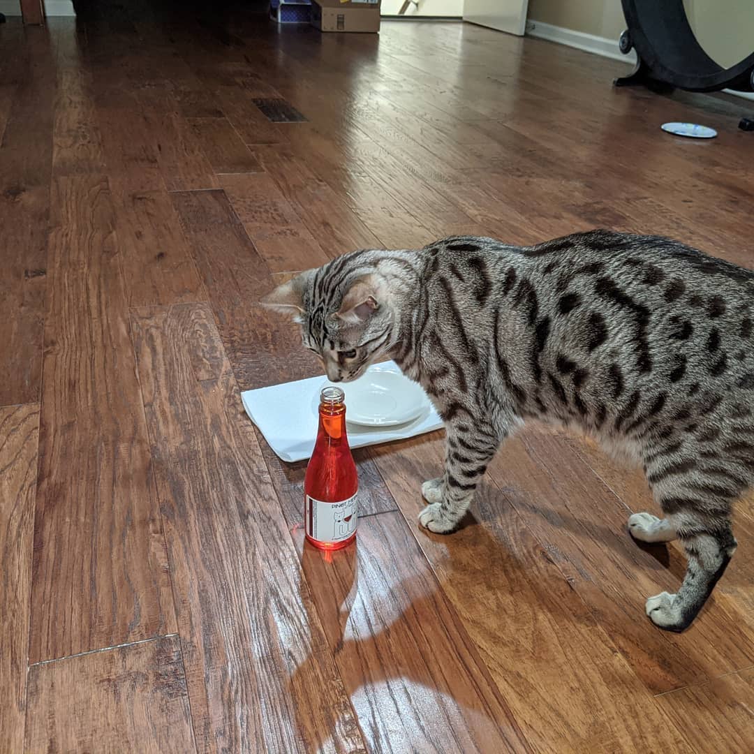 Apollo Peak Pinot Meow Cat Wine Liquid Catnip For Cats