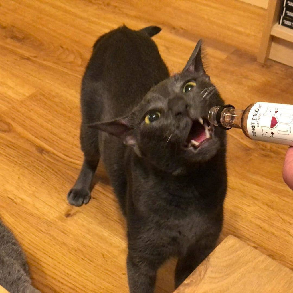 Apollo Peak Pinot Meow Cat Wine Liquid Catnip For Cats