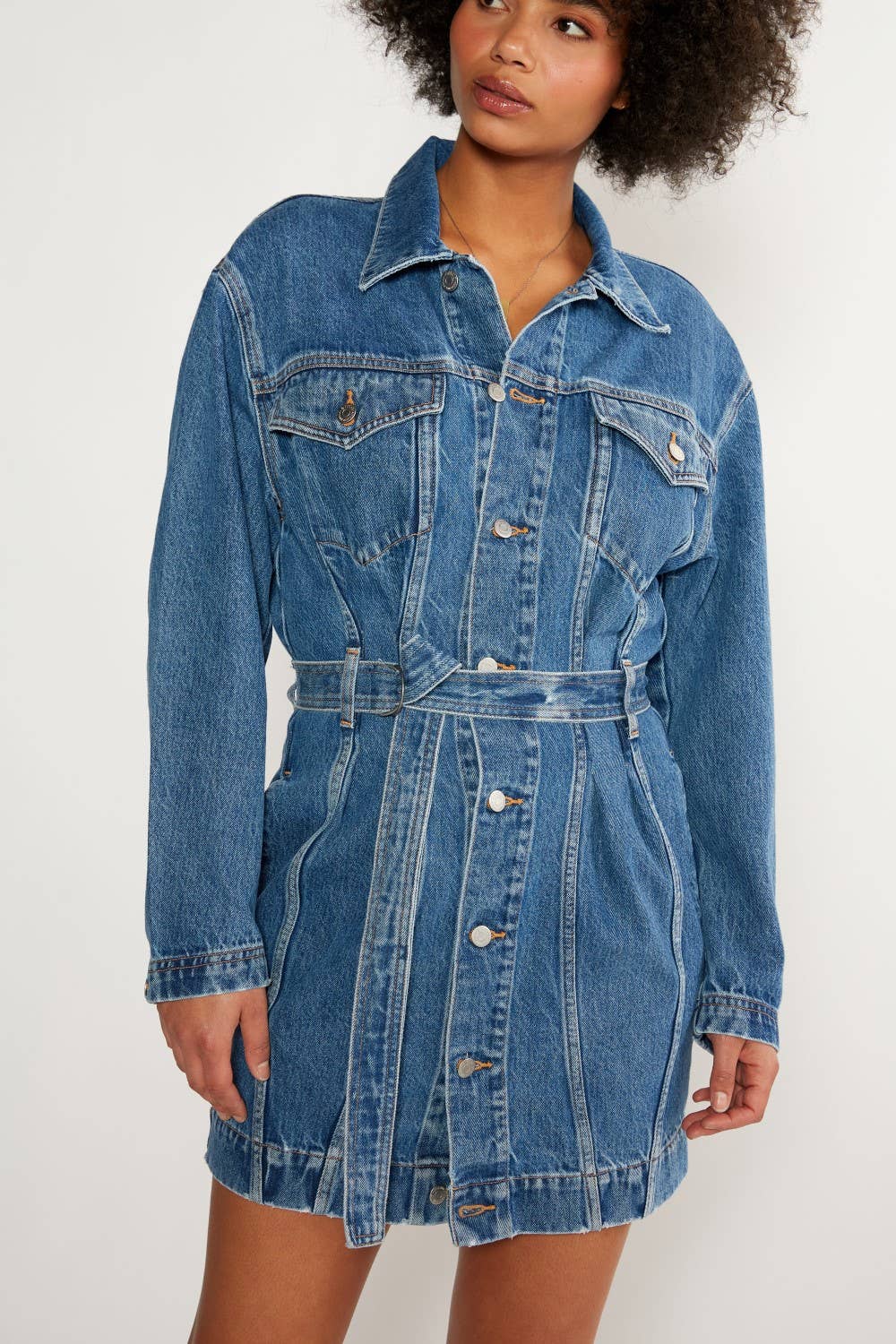 Joelle Denim Dress