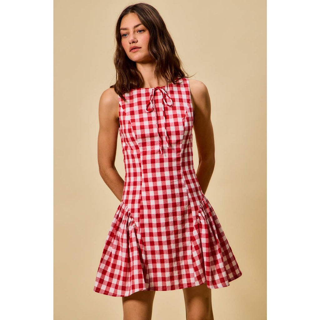 Hayes | Gingham Fit and Flare Tank Mini Dress