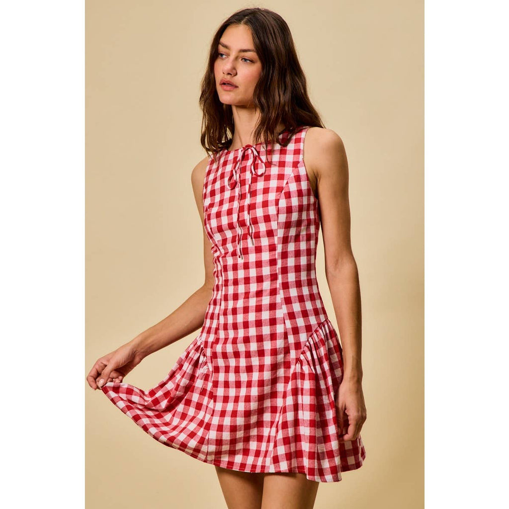 Hayes | Gingham Fit and Flare Tank Mini Dress