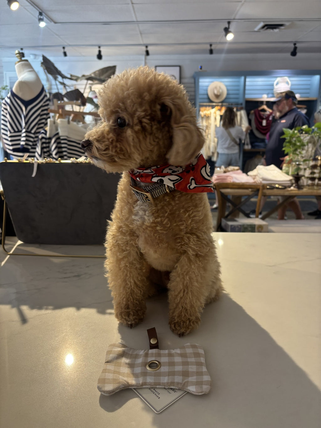Harry Barker | Pet Waste Bag Dispenser
