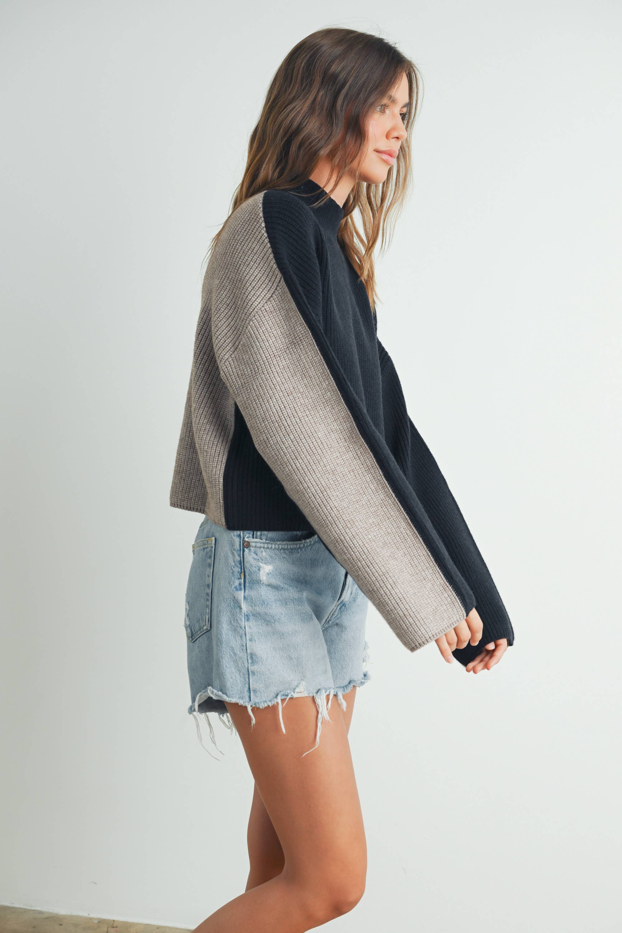 Two-Toned Turtleneck Sweater