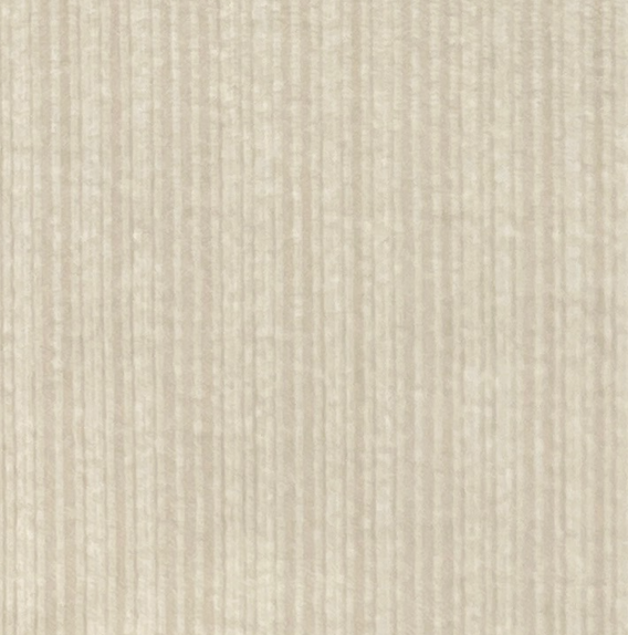 Kendall | Button Up Top