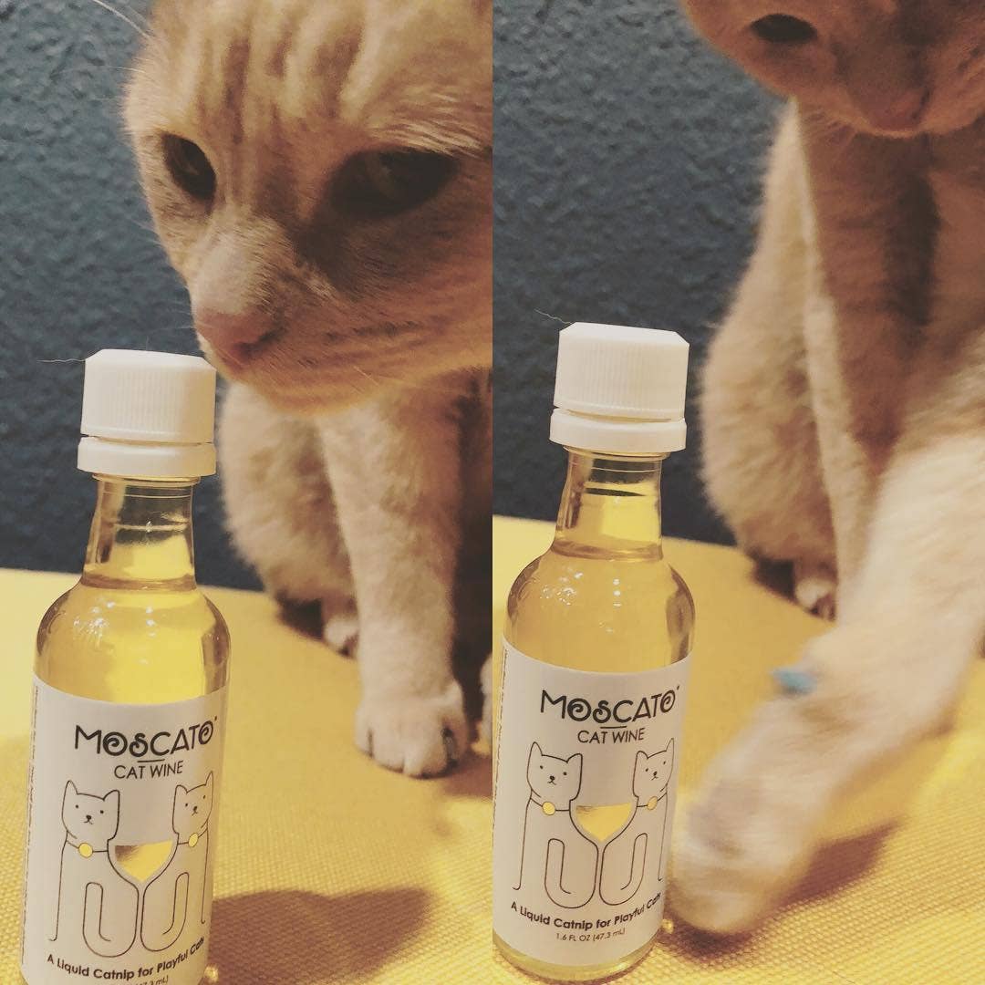 Apollo Peak MosCATo Cat Wine Liquid Catnip For Cats