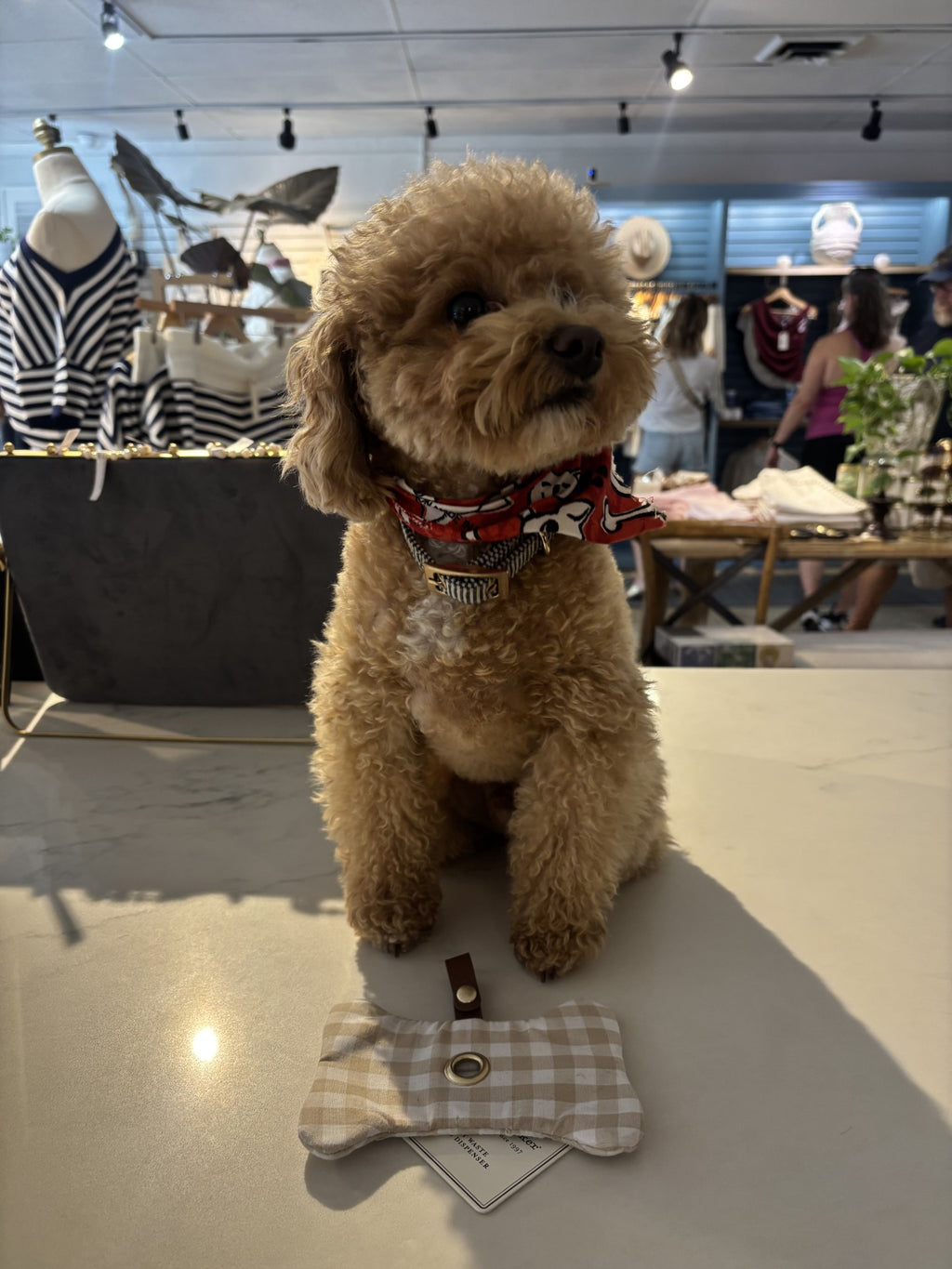 Harry Barker | Pet Waste Bag Dispenser